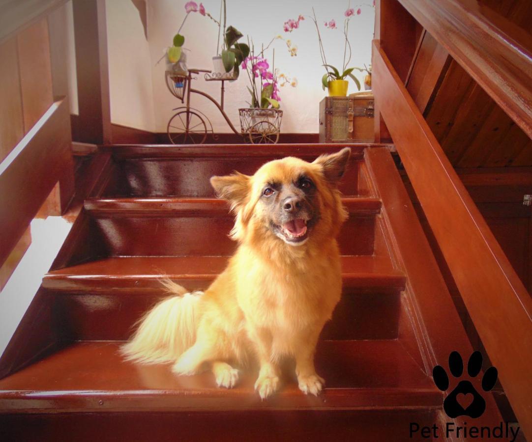 Casa Rural Los Helechos Agulo ภายนอก รูปภาพ